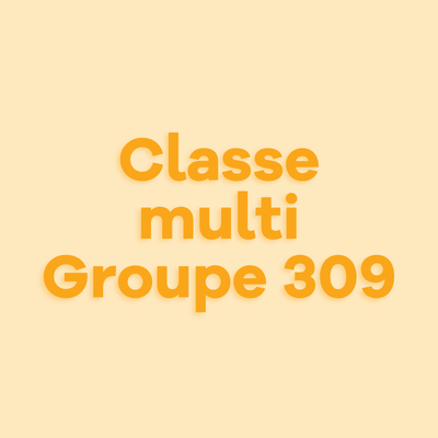 Image Classe multi - Groupe 309